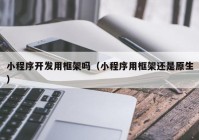 小程序开发用框架吗（小程序用框架还是原生）