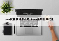 seo优化软件怎么选（seo是如何做优化的）