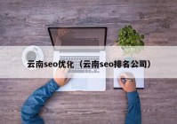 云南seo优化（云南seo排名公司）