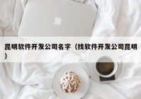 昆明软件开发公司名字（找软件开发公司昆明）