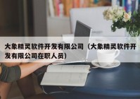 大象精灵软件开发有限公司（大象精灵软件开发有限公司在职人员）