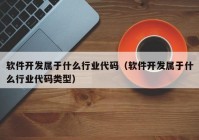 软件开发属于什么行业代码（软件开发属于什么行业代码类型）