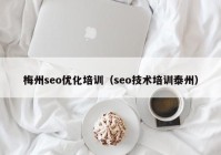 梅州seo优化培训（seo技术培训泰州）