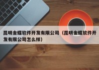 昆明金蝶软件开发有限公司（昆明金蝶软件开发有限公司怎么样）