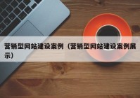 营销型网站建设案例（营销型网站建设案例展示）