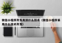 微信小程序开发用到什么技术（微信小程序采用什么技术开发）