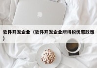 软件开发企业（软件开发企业所得税优惠政策）