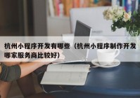 杭州小程序开发有哪些（杭州小程序制作开发哪家服务商比较好）