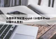 小程序开发配置appid（小程序的appid是什么意思）