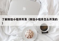 了解微信小程序开发（微信小程序怎么开发的）