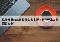 软件开发的公司取什么名字好（软件开发公司取名大全）