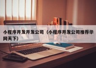 小程序开发开发公司（小程序开发公司推荐华网天下）