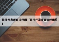 软件开发项目流程图（软件开发项目流程图片）