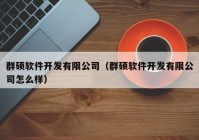 群硕软件开发有限公司（群硕软件开发有限公司怎么样）